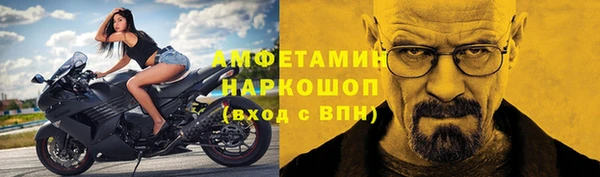 индика Белокуриха