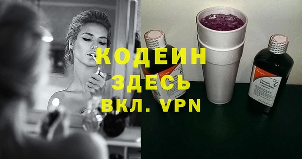 индика Балахна