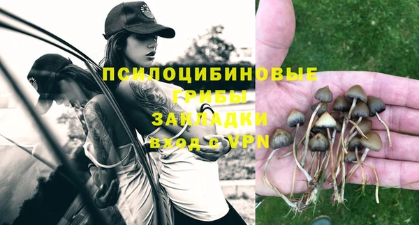 крисы Беломорск