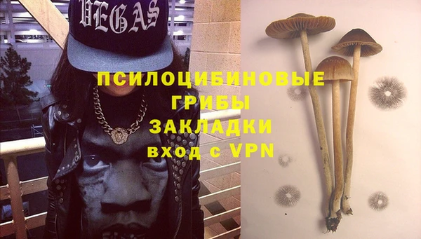 ешки Белоозёрский
