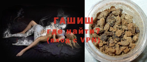 индика Балахна