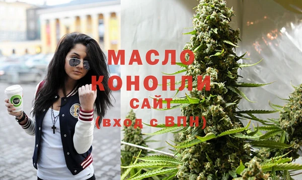 индика Балахна