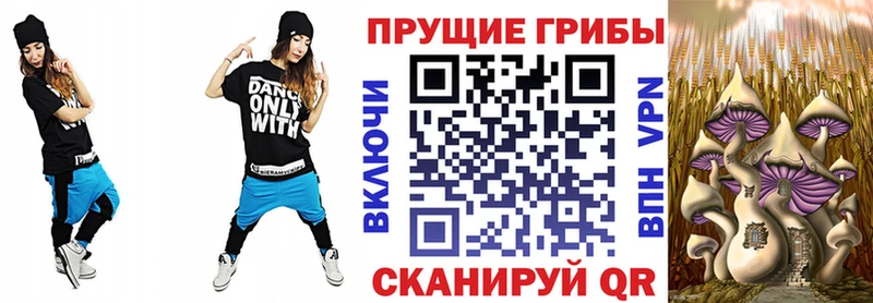 Псилоцибиновые грибы ЛСД  мега ссылки  Великий Устюг 